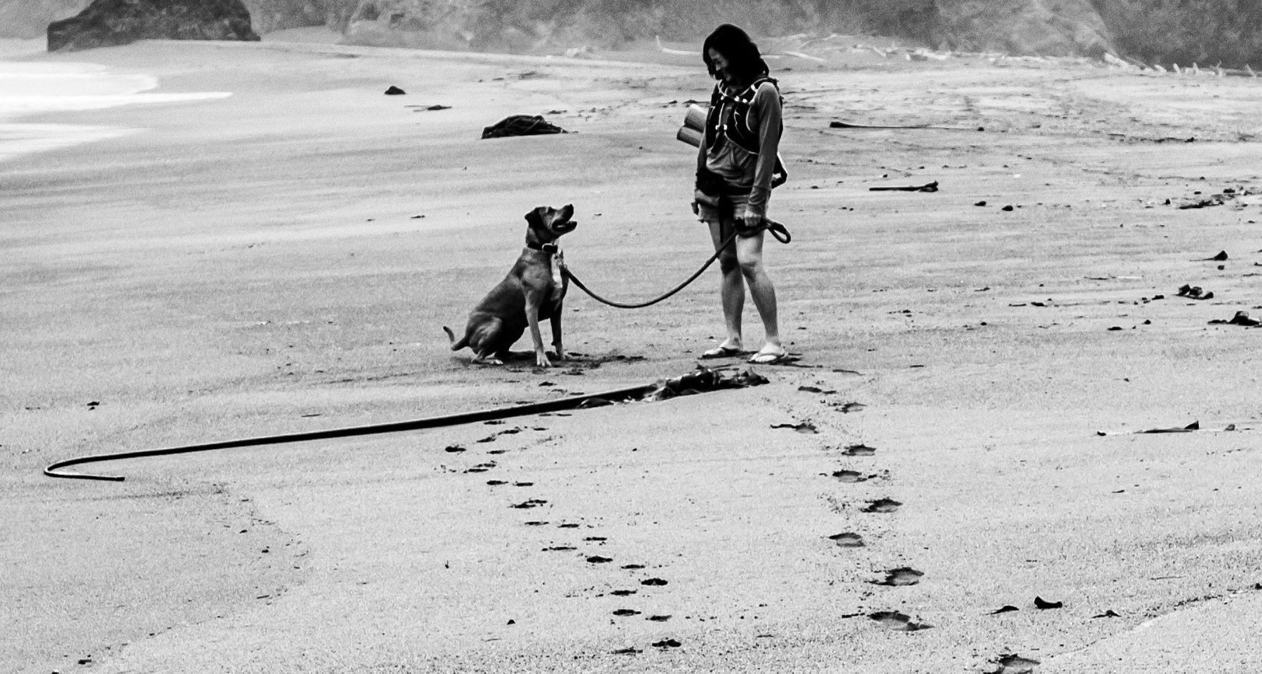 Mutts Have Fun: Training You and Your Dog — dog trainer in Oakland, CA