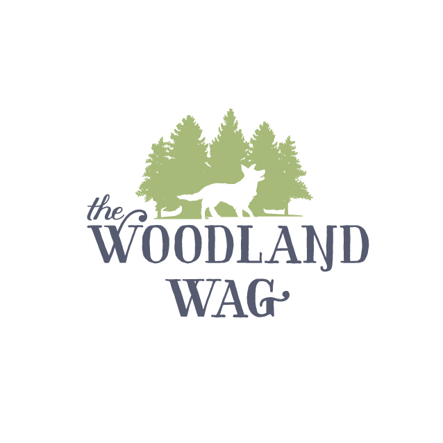 The Woodland Wag — dog trainer in Attleboro, MA