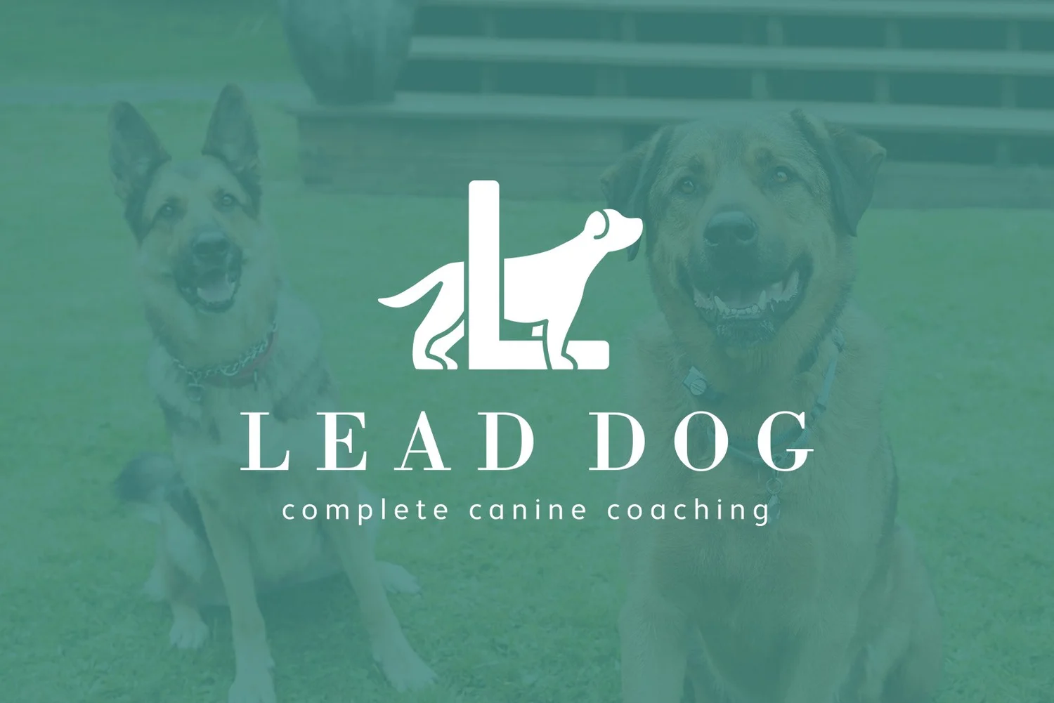 Lead Dog Coaching and Training