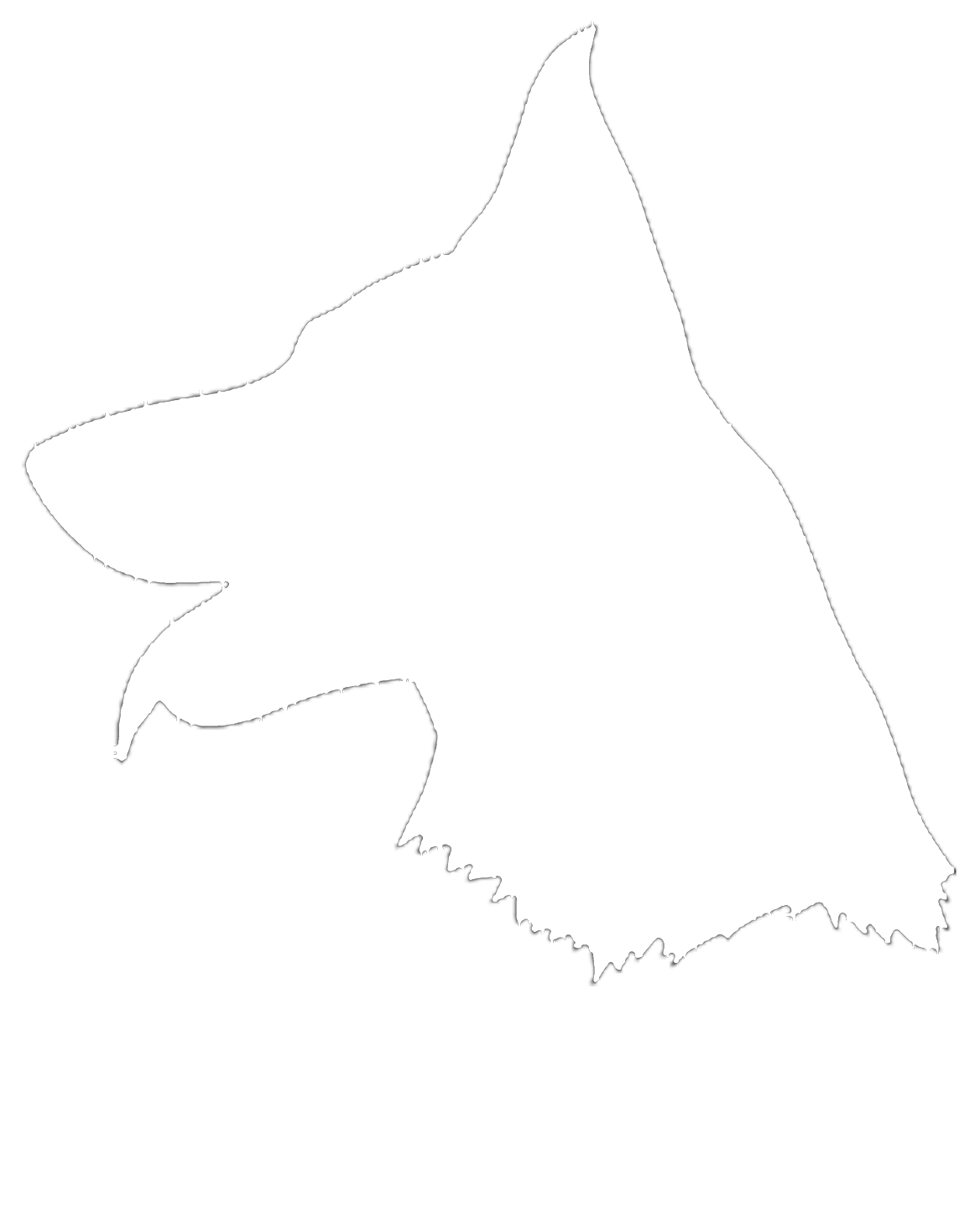 Bark Fit LLC logo