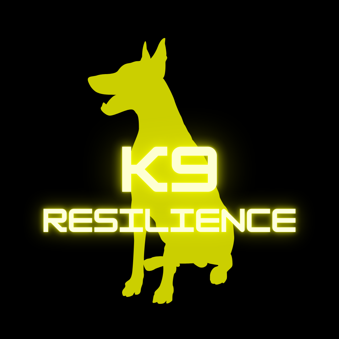 K9 Resilience Dog Training — dog trainer in Salisbury, MD