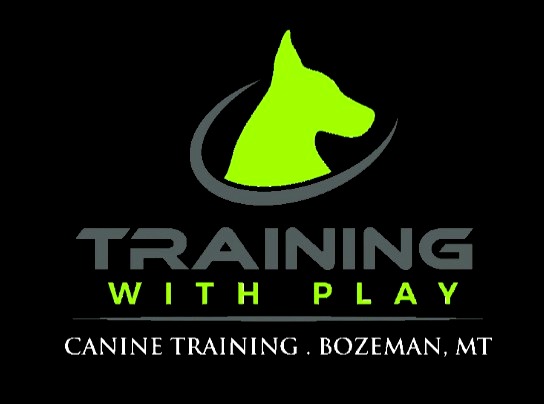 Training With Play
