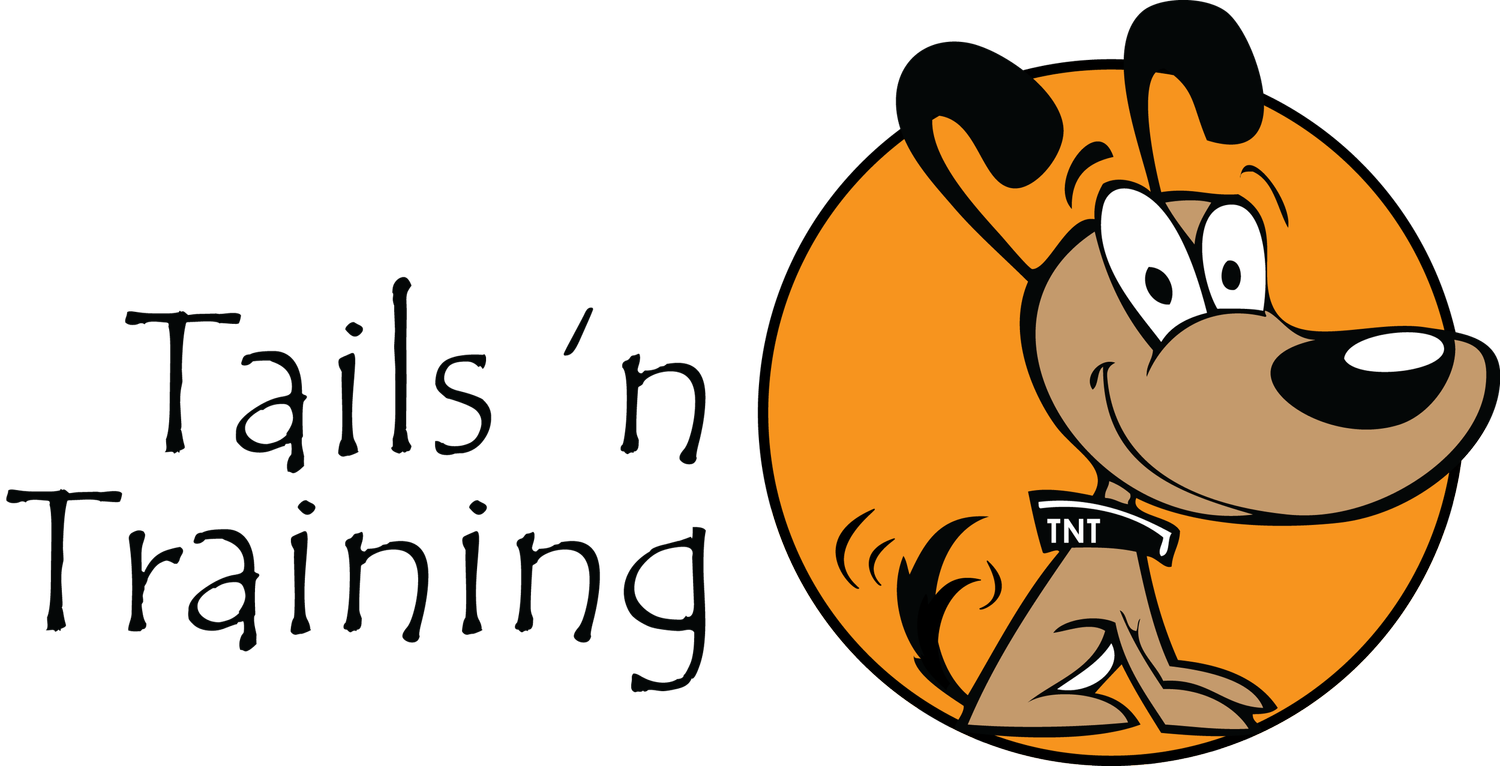 Tails ‘n Training logo