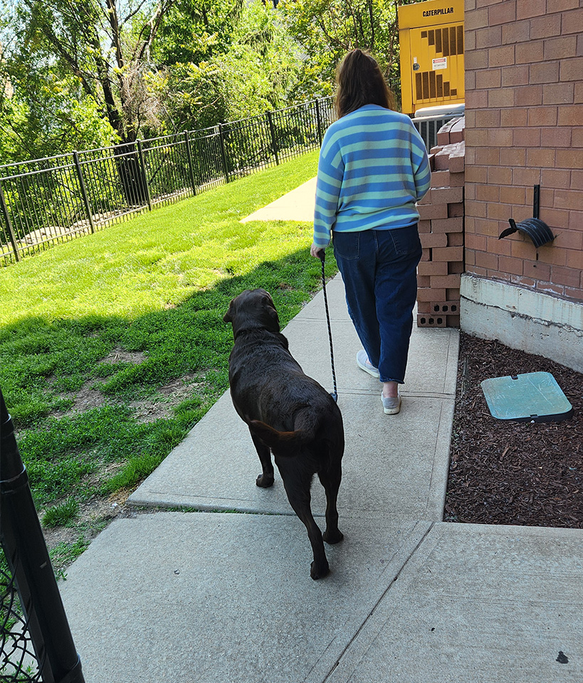 Canine Concierge Training LLC — dog trainer in Jersey City, NJ