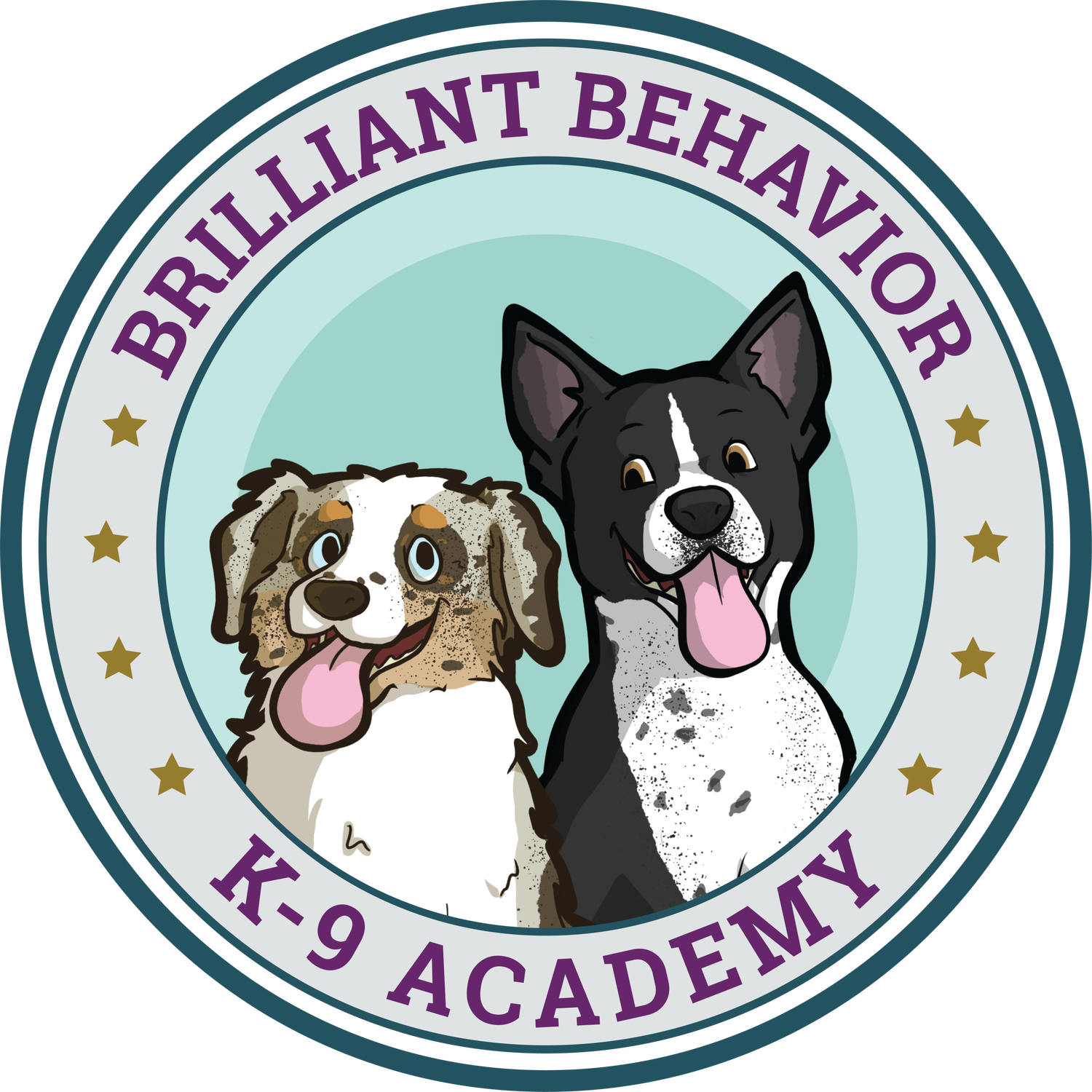 Brilliant Behavior K-9 Academy — dog trainer in Spring, TX