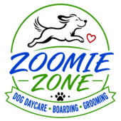 Zoomie Zone Hillsboro logo