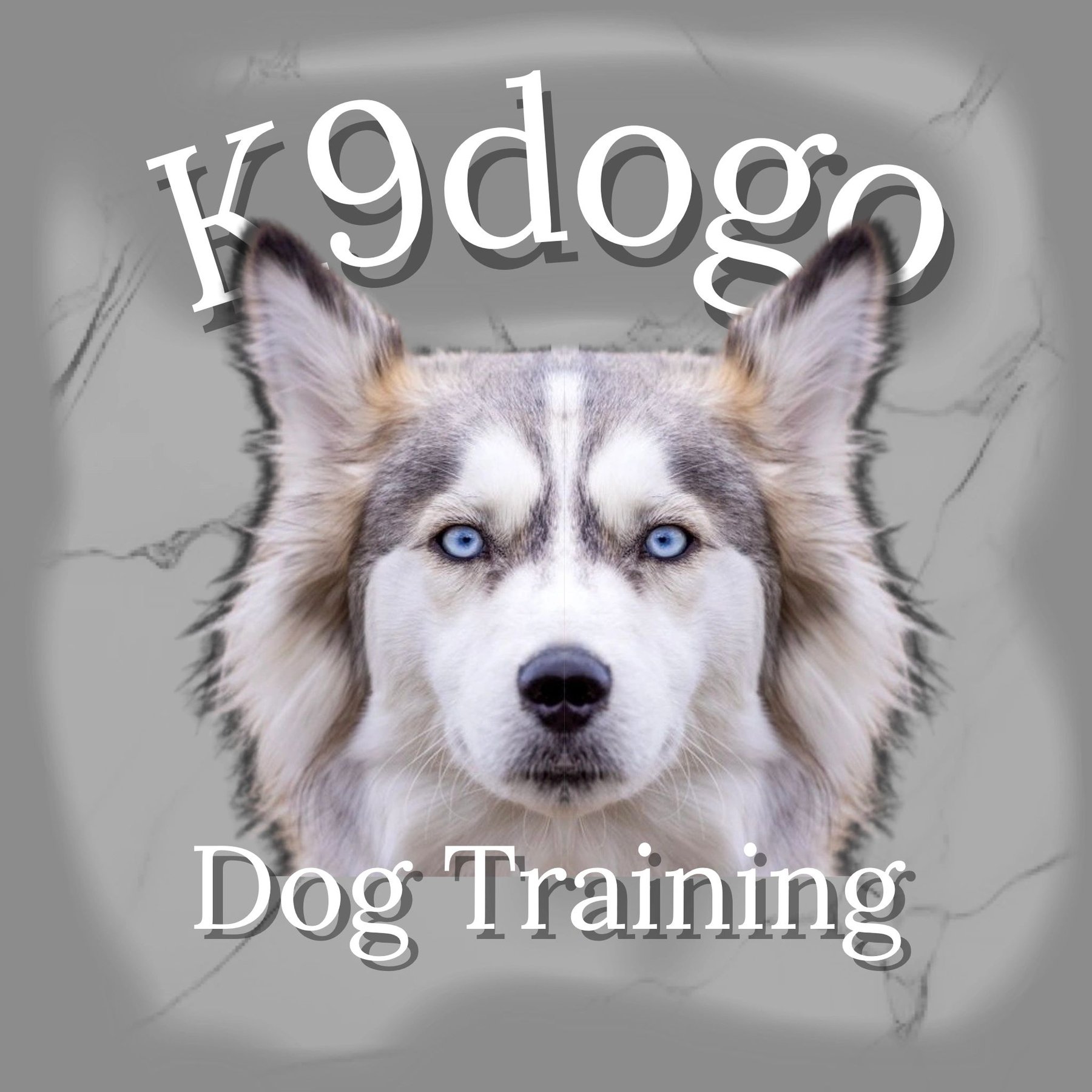 K9dogo Dog Training