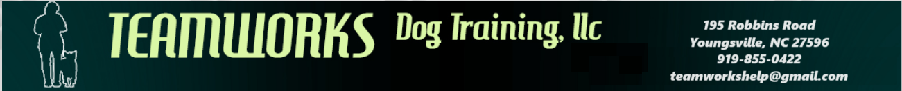 Teamworks Dog Training, llc logo