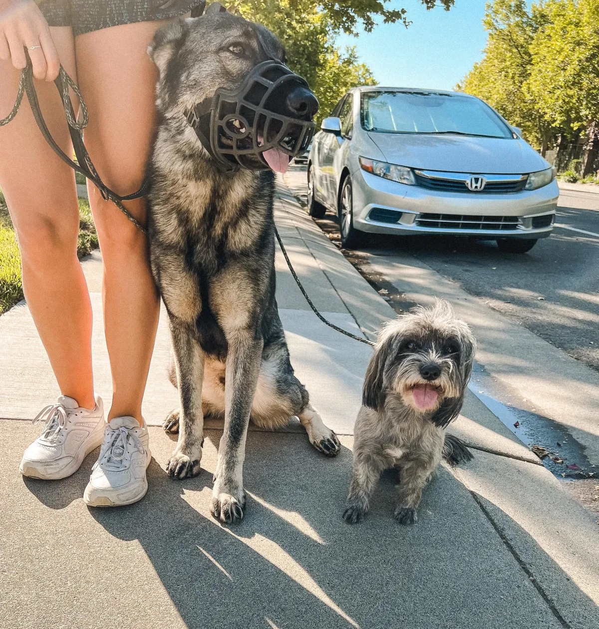 Shaping K9s