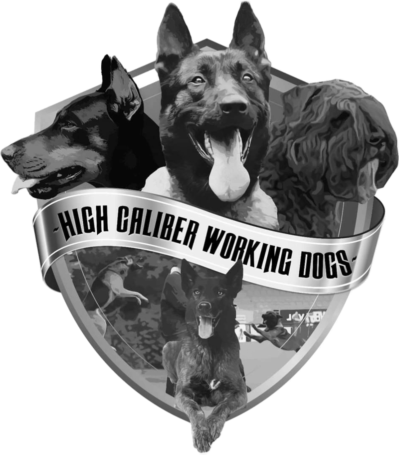 High Caliber Working Dog Training logo