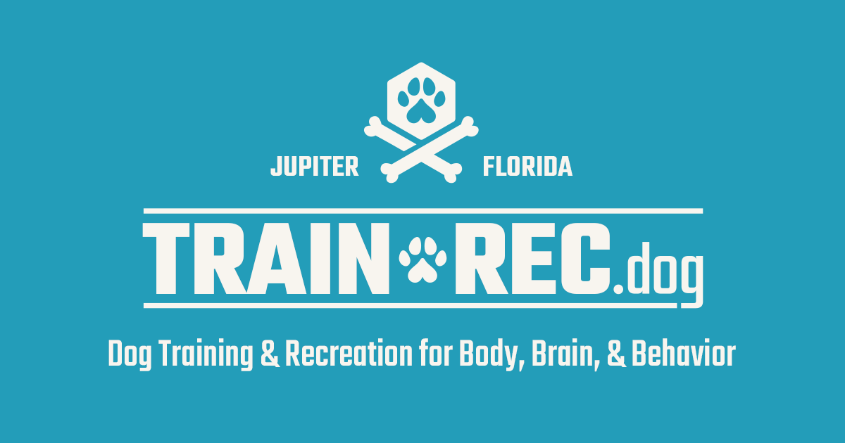 TrainRec Dog Training & Enrichment