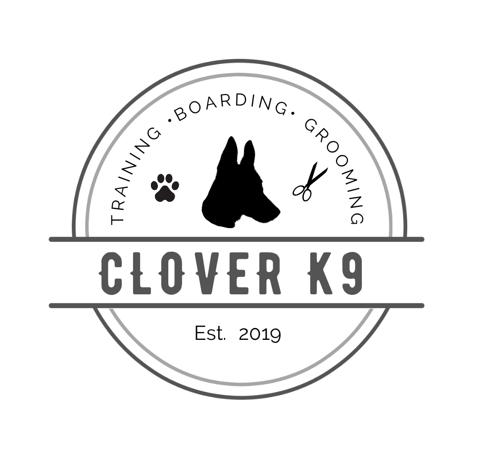 Clover K9 llc — dog trainer in Cedar Park, TX