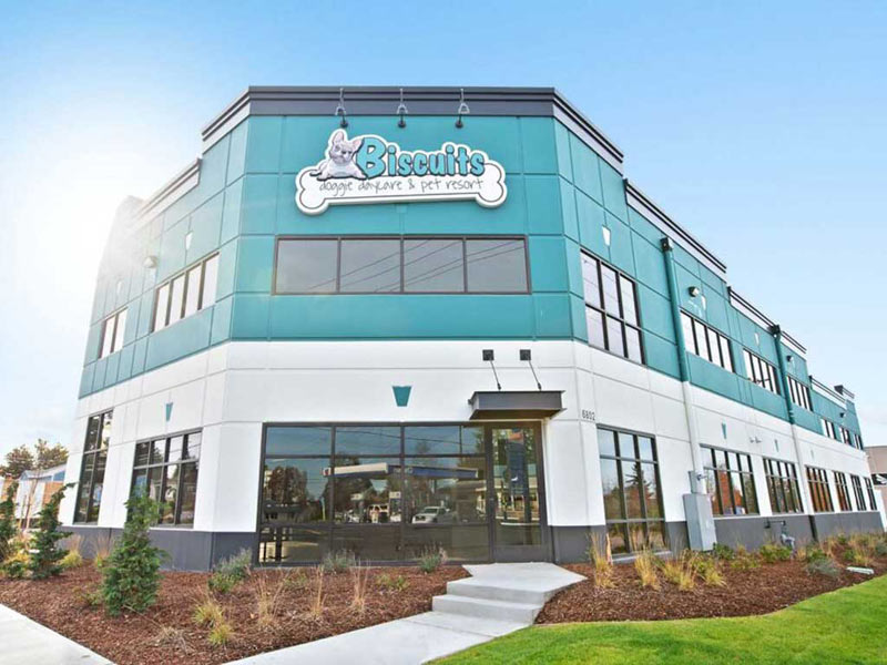 Biscuits Doggie Daycare