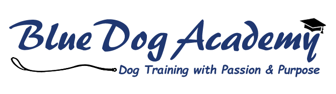 Blue Dog Academy logo