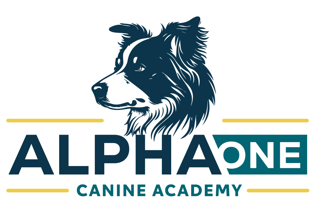 Alpha One Canine Academy