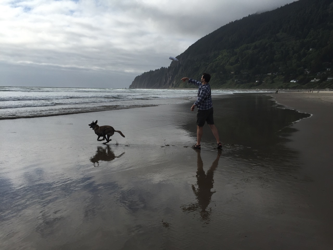 Lucid Dog Training