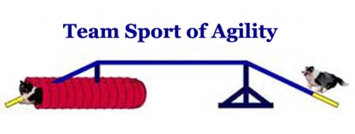 Team Sport Of Agility logo