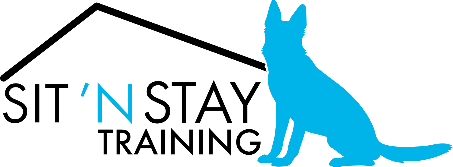 Sit ‘n Stay Training logo