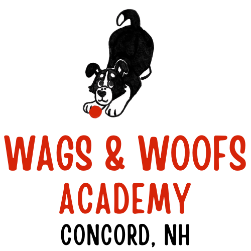 Wags & Woofs Academy (Formerly Wags With Mags)