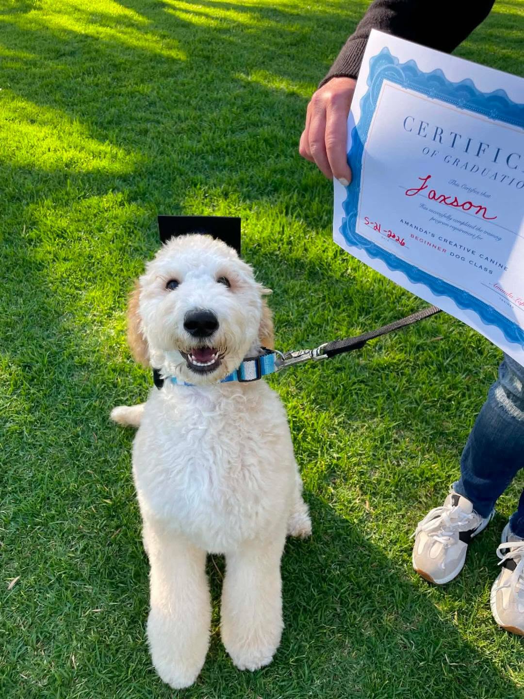 Amanda’s Creative Canines LLC