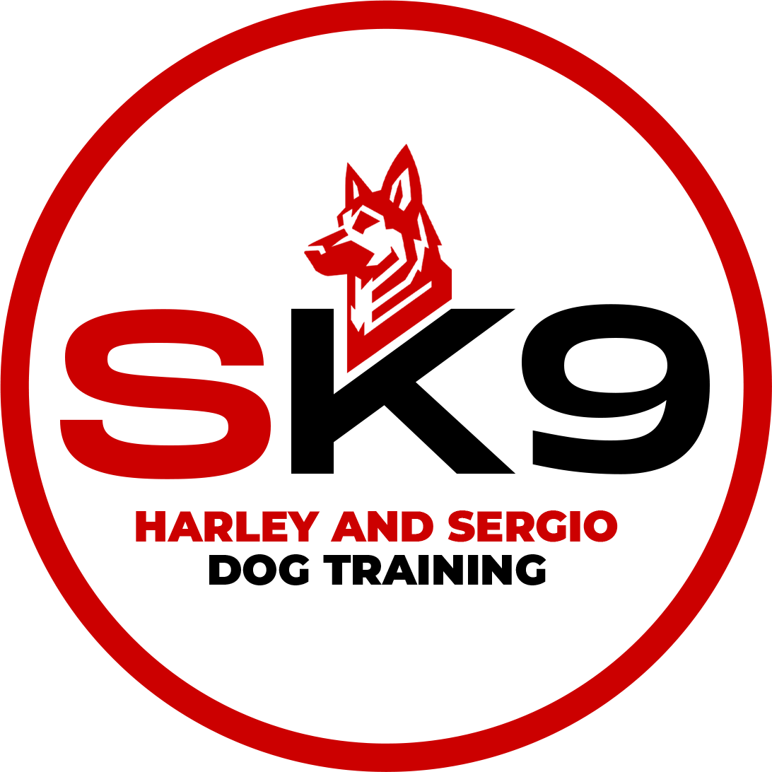 Harley and Sergio Dog Training (SK9)