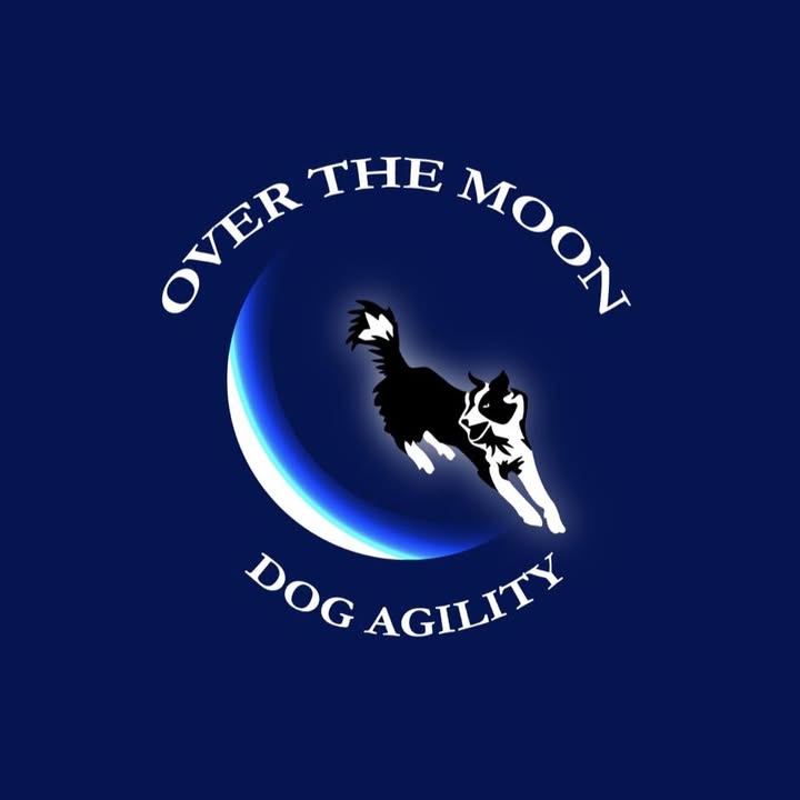 Over the moon dog agility