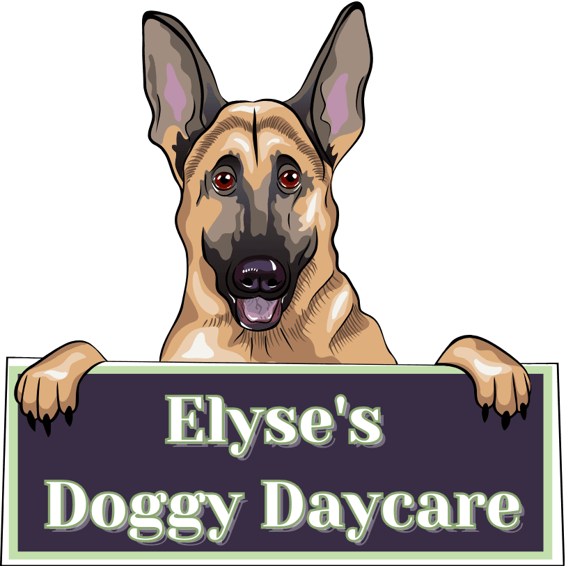 Elyse’s Doggy Daycare & Boarding