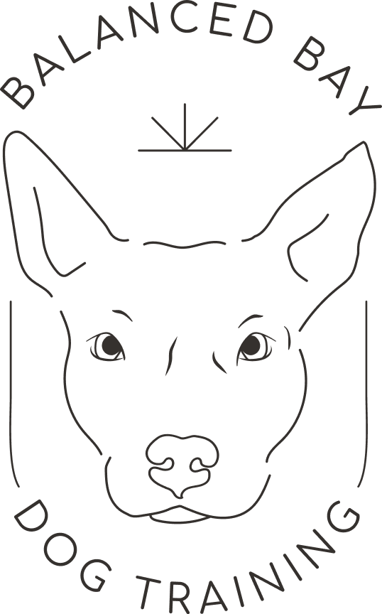 Balanced Bay Dog Training logo