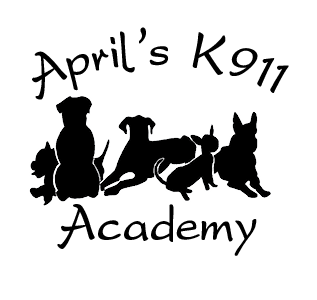 April’s K911 Academy