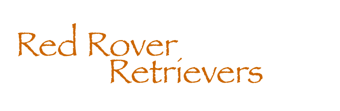 Red Rover Retrievers