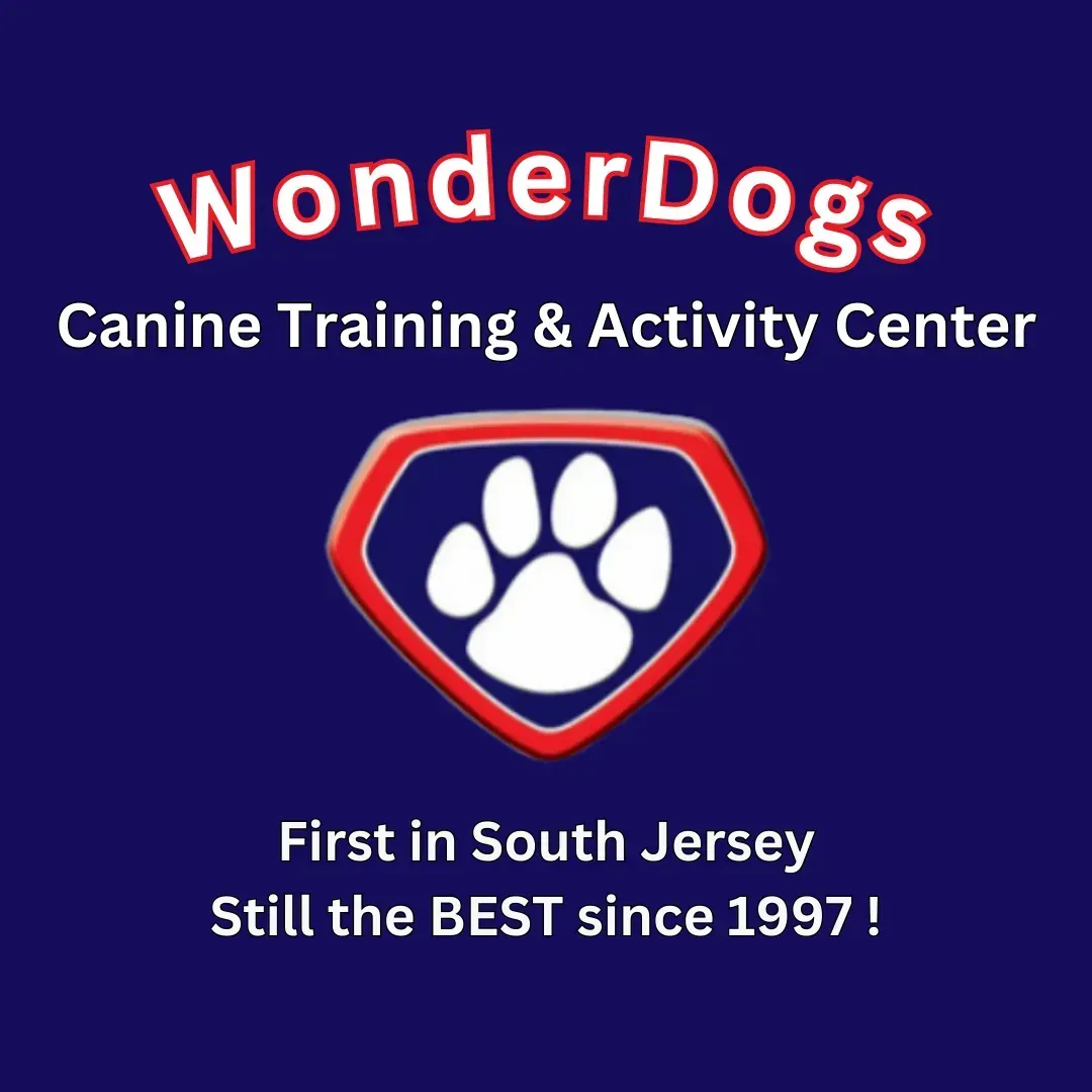 WonderDogs Canine Training & Activity Center logo