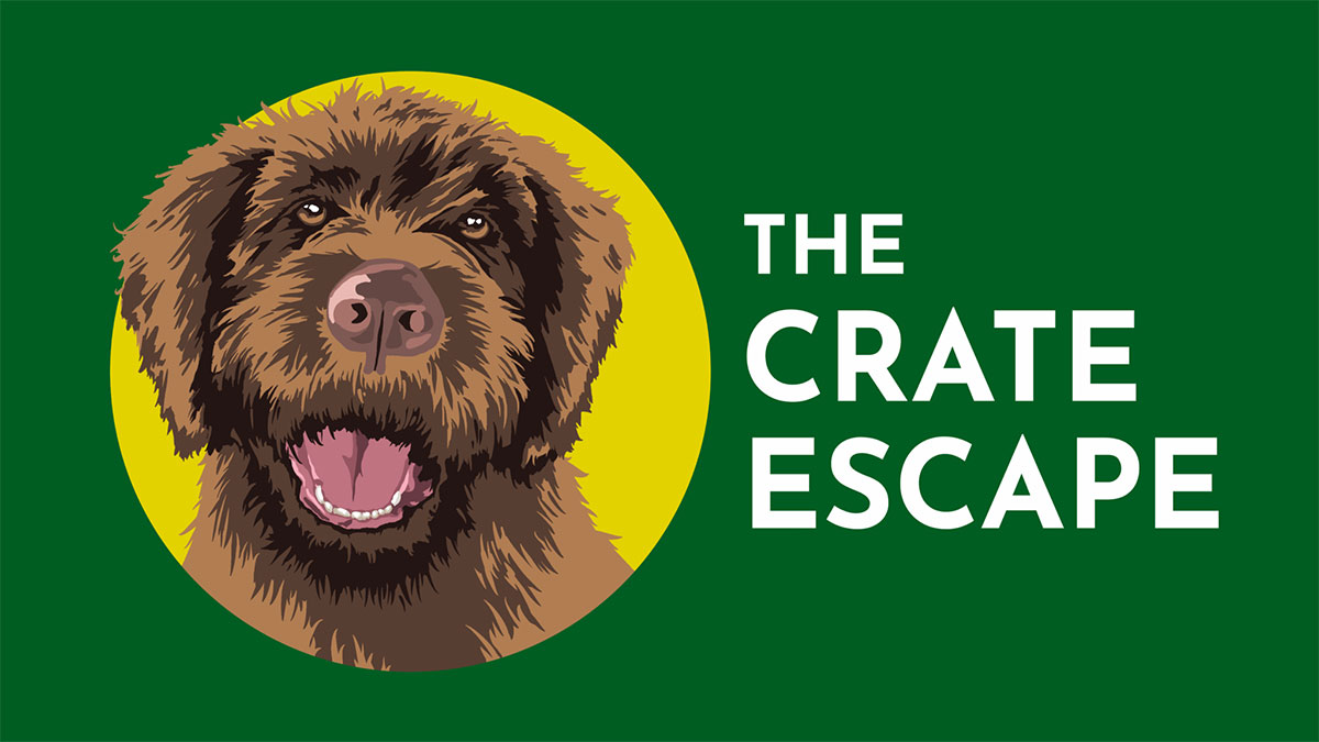 The Crate Escape