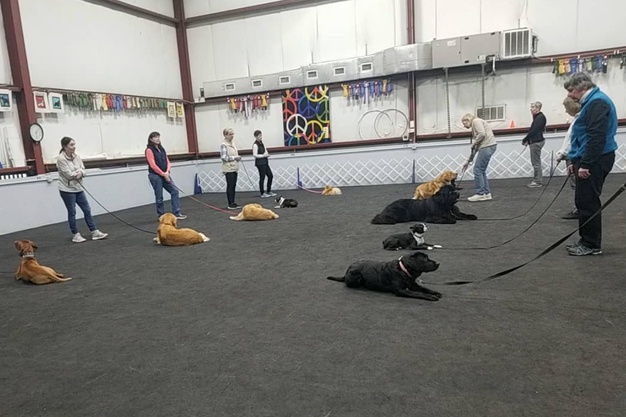 Masterpeace Dog Training