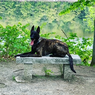 Echo Ridge K9 LLC