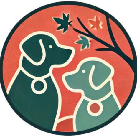 Kismet Canine Training