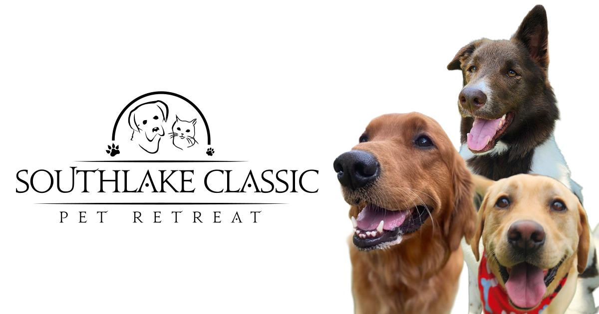 Southlake Classic Pet Retreat — dog trainer in Irving, TX