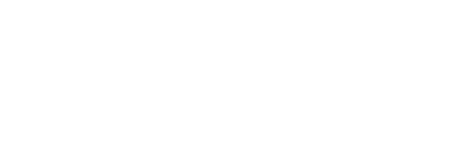 Dreamwork Gun Dogs
