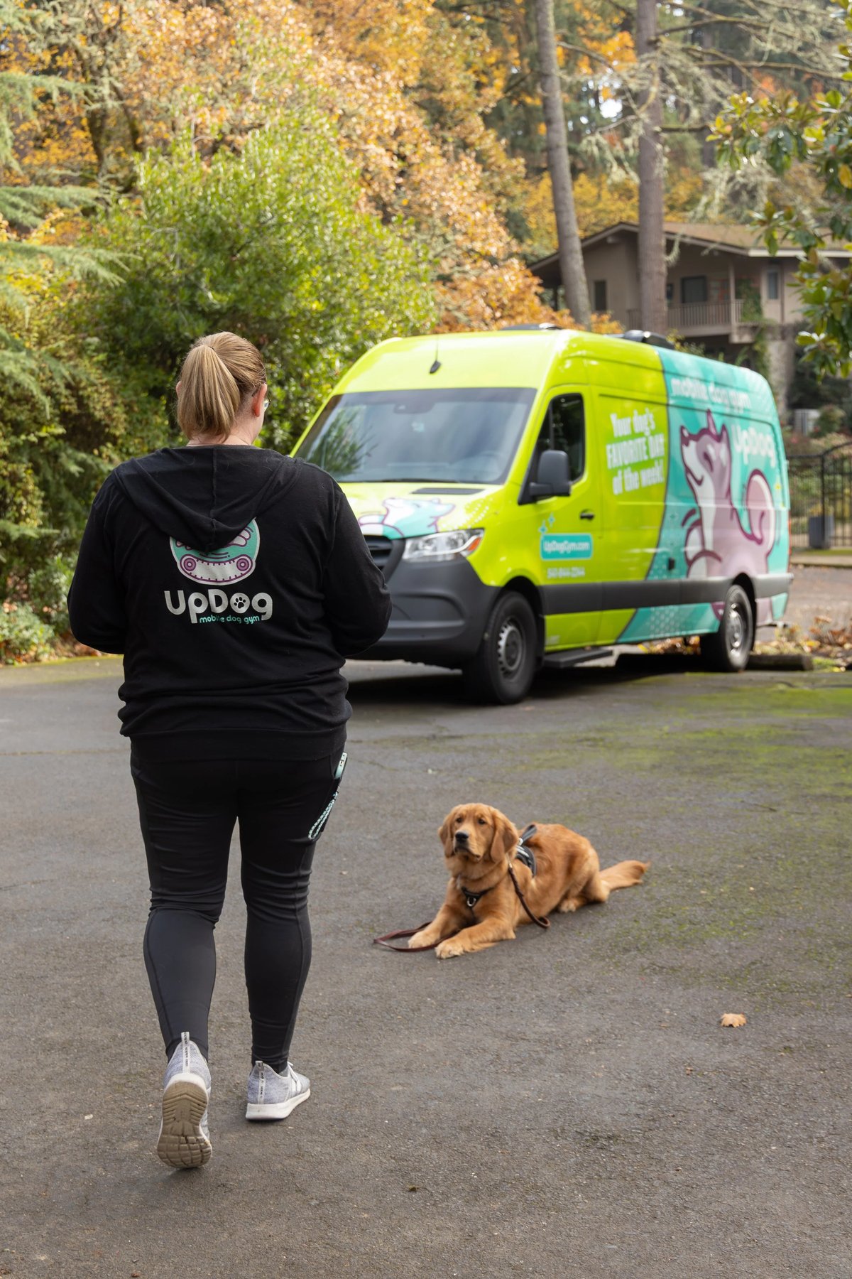 UpDog Training & Behavior | Oregon Dog Trainer