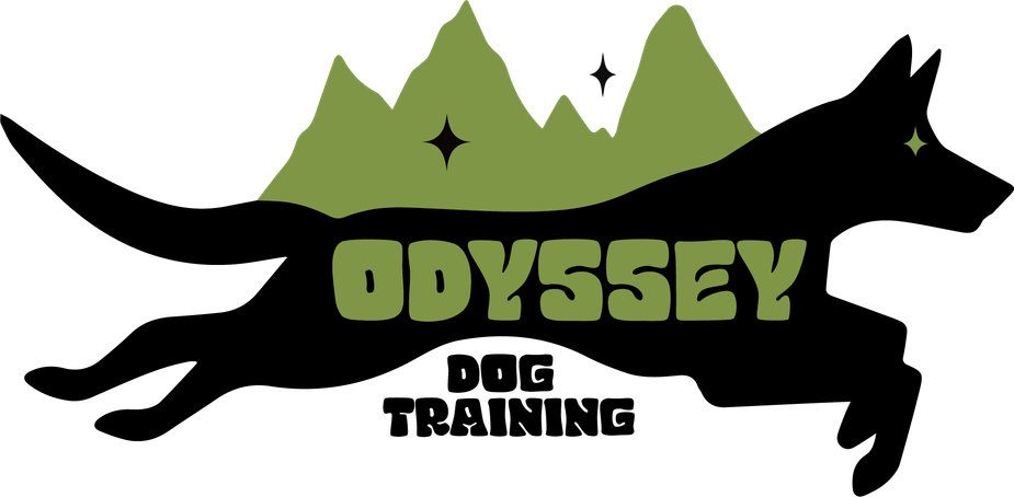 Odyssey Dog Training