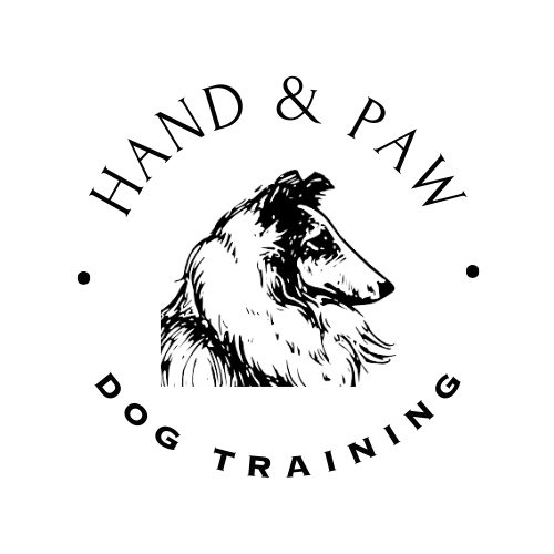 Hand & Paw Dog Training