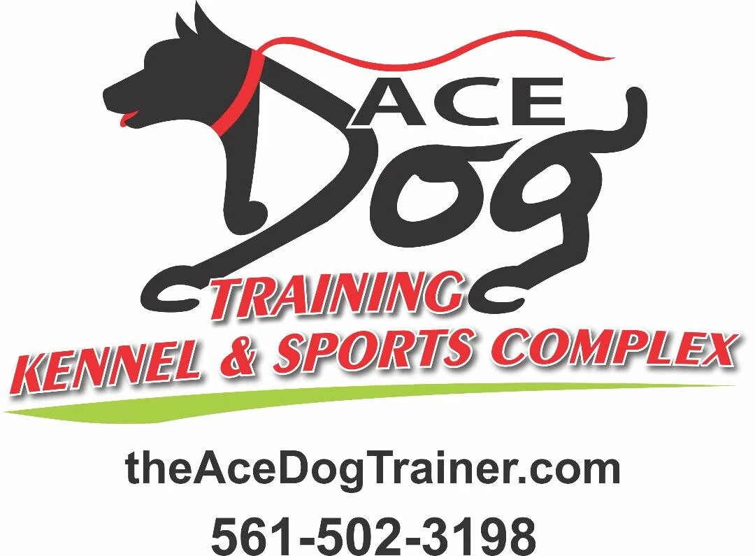 The Ace Dog Trainer logo