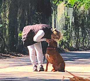 The Ace Dog Trainer