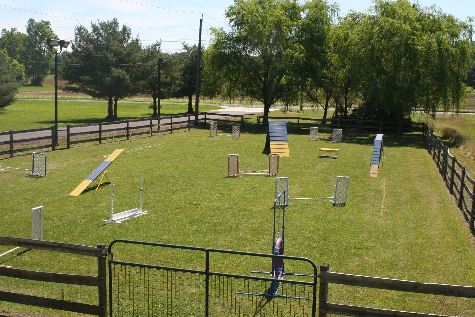 Golden Grange Kennels