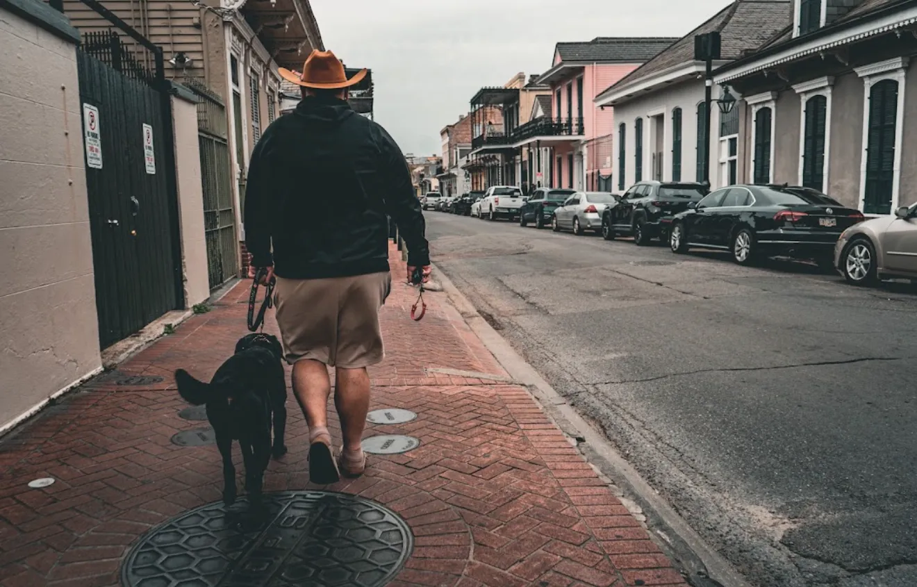 Houston Dog Training Company
