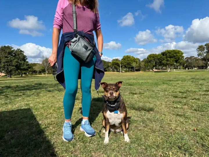 PawcificDogAcademy