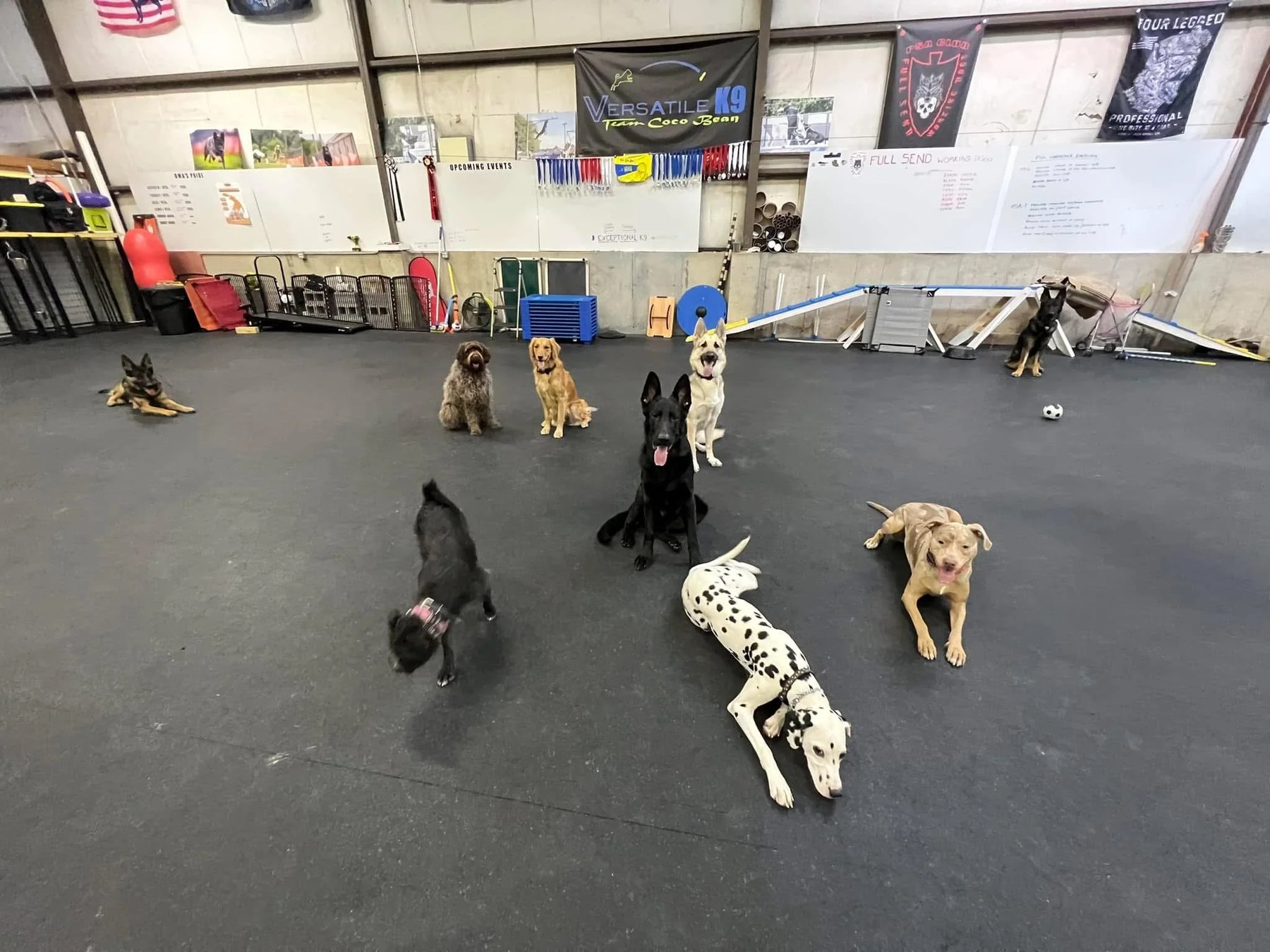 Versatile K9