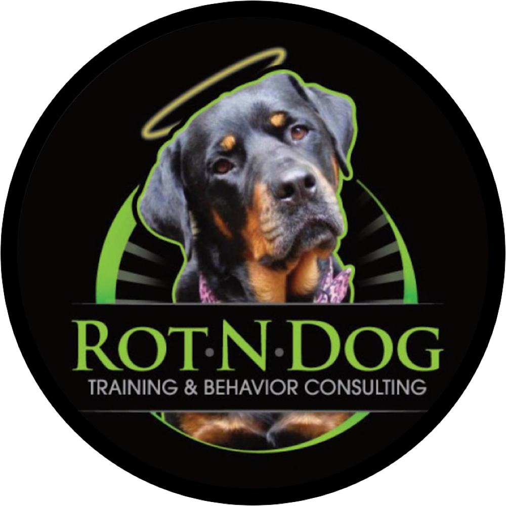 RotNDog Training & Behavior Consulting — dog trainer in West Palm Beach, FL