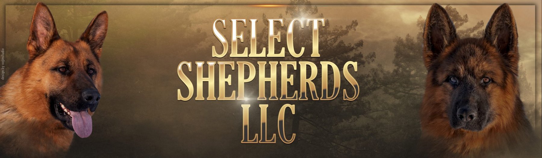 Select Shepherds LLC