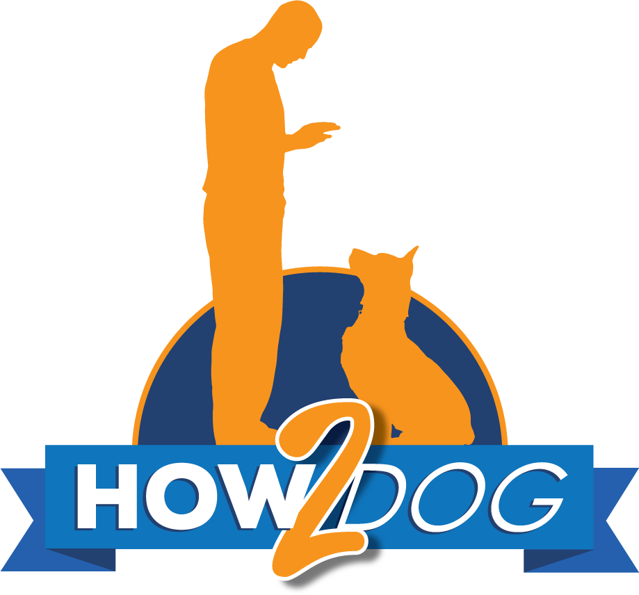 How 2 Dog LLC logo