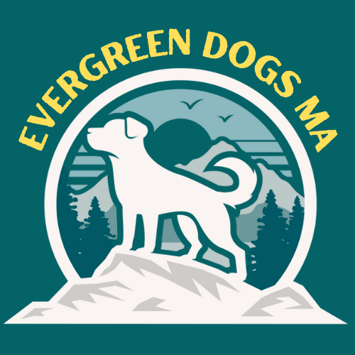 Evergreen Dogs — dog trainer in Framingham, MA